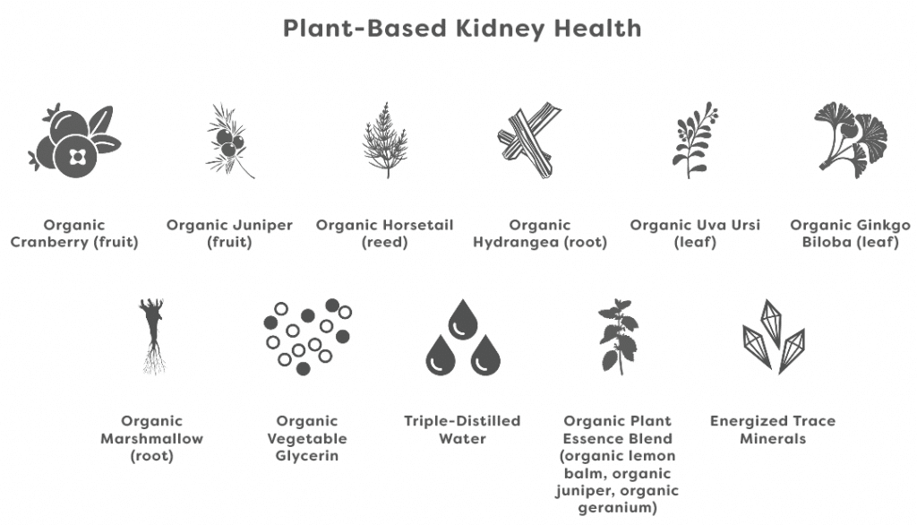 plant-based kidney health ingredients