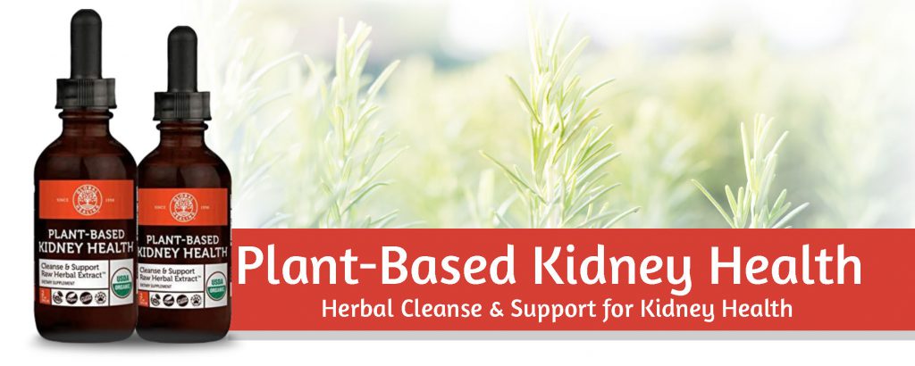 plant based kidney health product